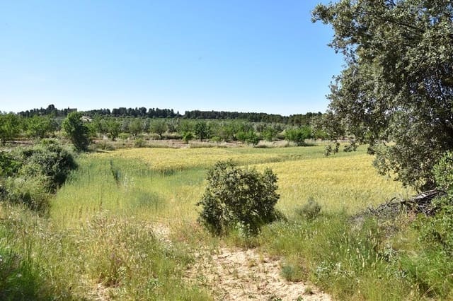 Finca/Landehus til salg i Cretas - € 17.000 (Ref: 9204751)