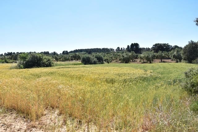 Finca/Landehus til salg i Cretas - € 17.000 (Ref: 9204751)