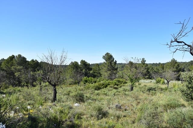 1 soveværelse Finca/Landehus til salg i Cretas - € 48.000 (Ref: 9204752)