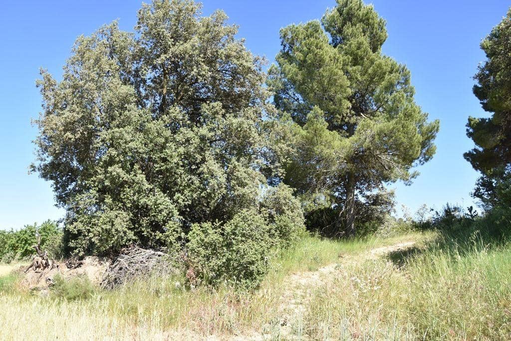 1 bedroom Finca/Country House for sale in Cretas - € 48,000 (Ref: 9204752)