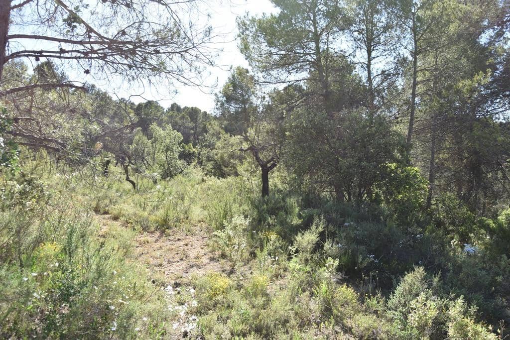 1 bedroom Finca/Country House for sale in Cretas - € 48,000 (Ref: 9204752)