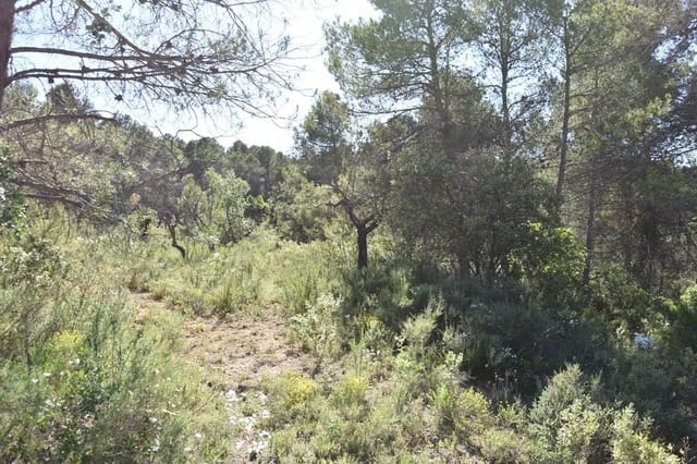 1 soveværelse Finca/Landehus til salg i Cretas - € 48.000 (Ref: 9204752)