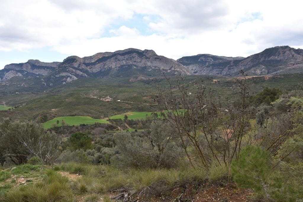 1 soveværelse Finca/Landehus til salg i Horta de Sant Joan - € 15.000 (Ref: 9217646)
