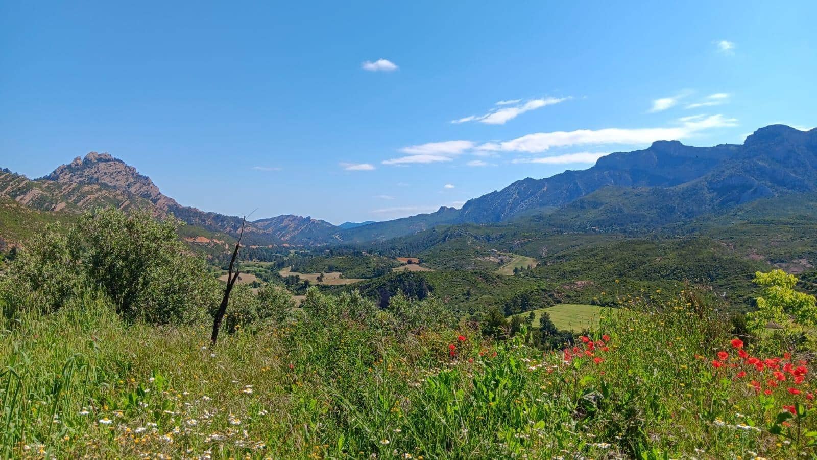 1 soveværelse Finca/Landehus til salg i Horta de Sant Joan - € 15.000 (Ref: 9217646)