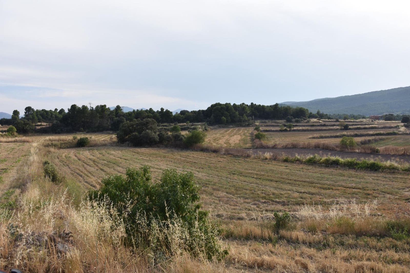 Finca/Landehus til salg i Fuentespalda - € 7.500 (Ref: 9217647)