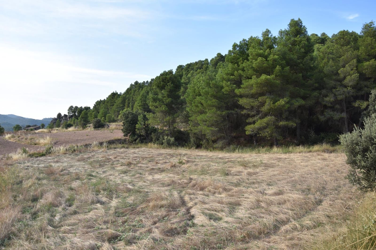 Finca/Landehus til salg i Fuentespalda - € 7.500 (Ref: 9217647)