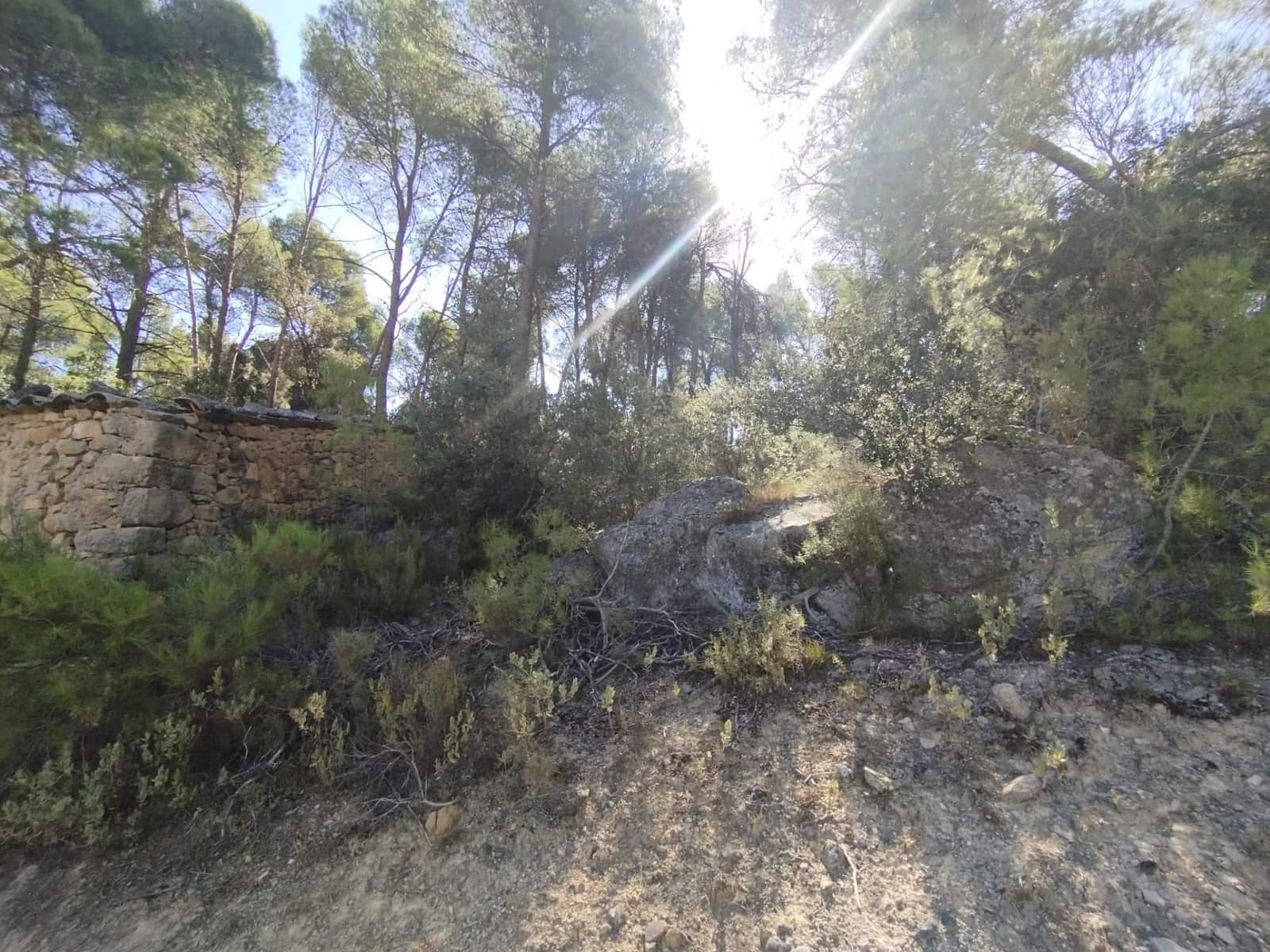 1 slaapkamer Finca/Landhuis te koop in Valderrobres - € 20.000 (Ref: 9226911)