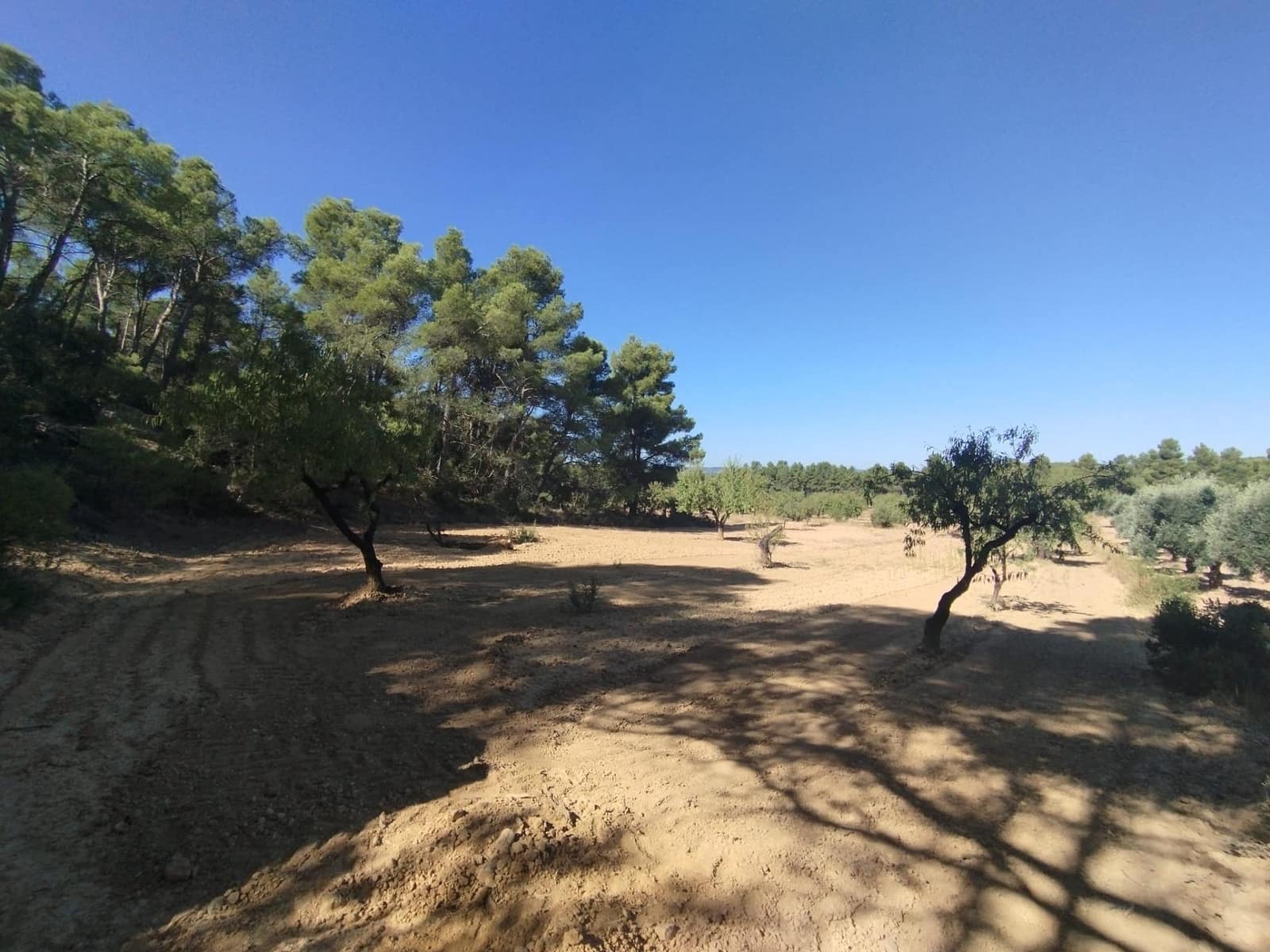 1 slaapkamer Finca/Landhuis te koop in Valderrobres - € 20.000 (Ref: 9226911)