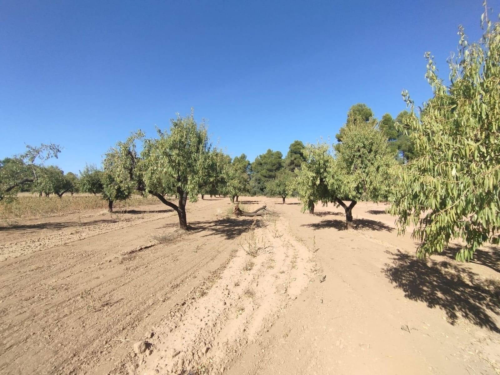 1 slaapkamer Finca/Landhuis te koop in Valderrobres - € 20.000 (Ref: 9226911)