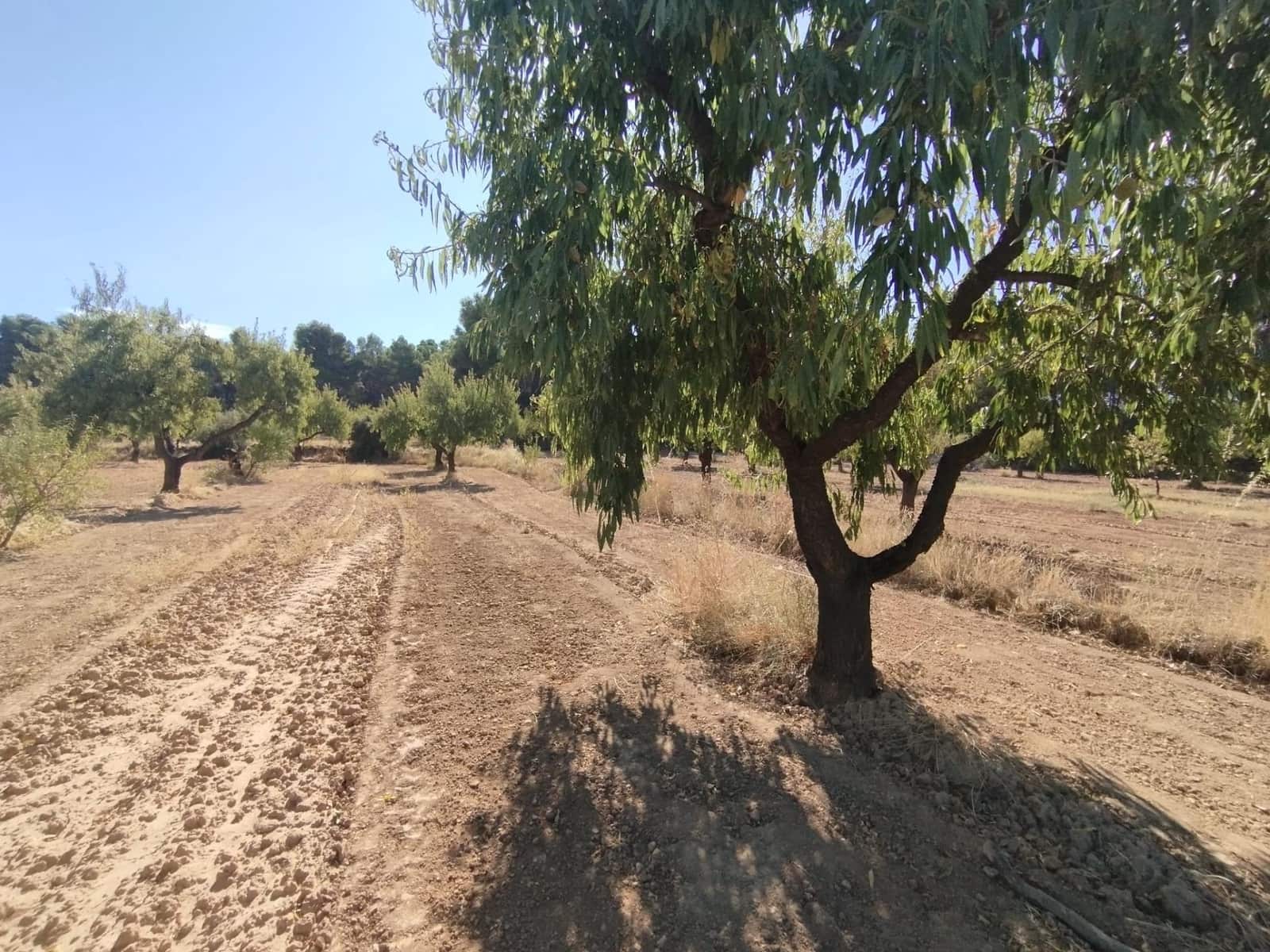 1 slaapkamer Finca/Landhuis te koop in Valderrobres - € 20.000 (Ref: 9226911)