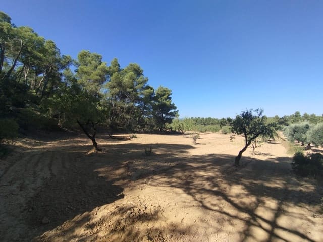 1 slaapkamer Finca/Landhuis te koop in Valderrobres - € 20.000 (Ref: 9226911)