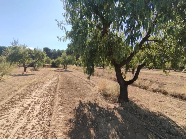 1 slaapkamer Finca/Landhuis te koop in Valderrobres - € 20.000 (Ref: 9226911)