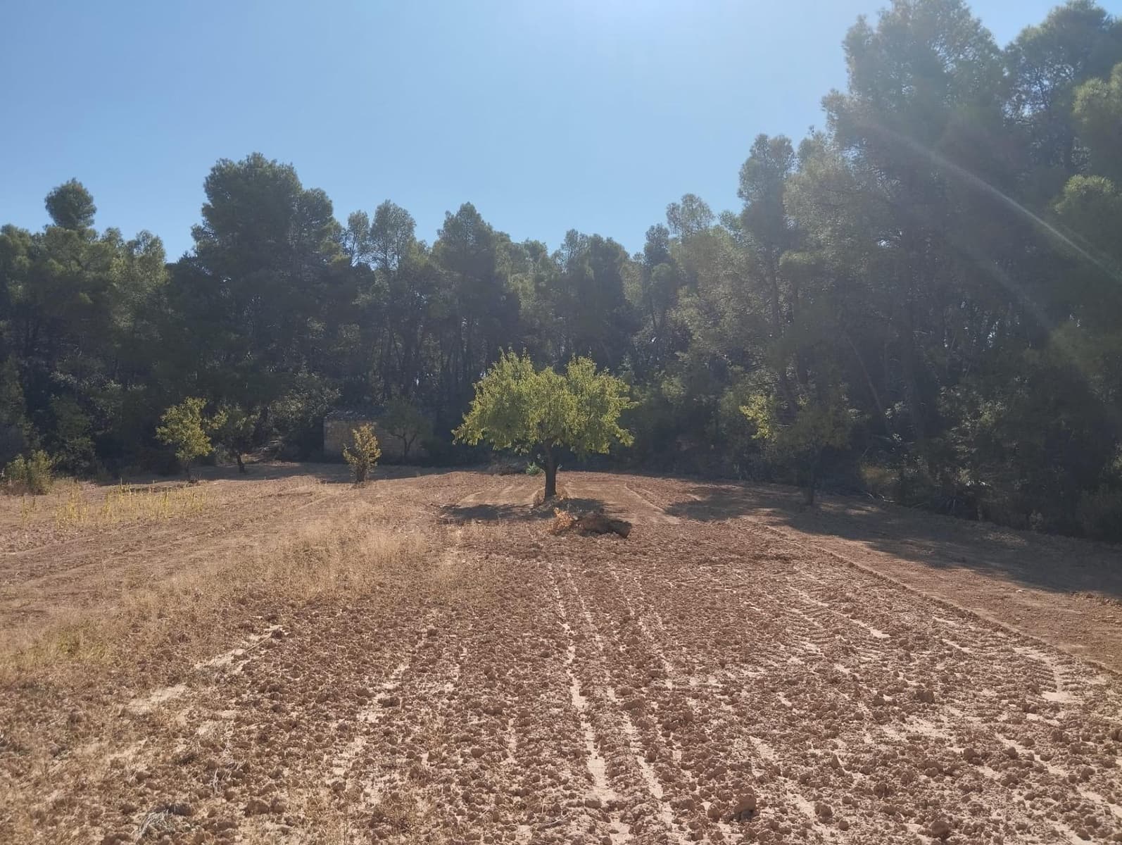 1 slaapkamer Finca/Landhuis te koop in Valderrobres - € 20.000 (Ref: 9226911)