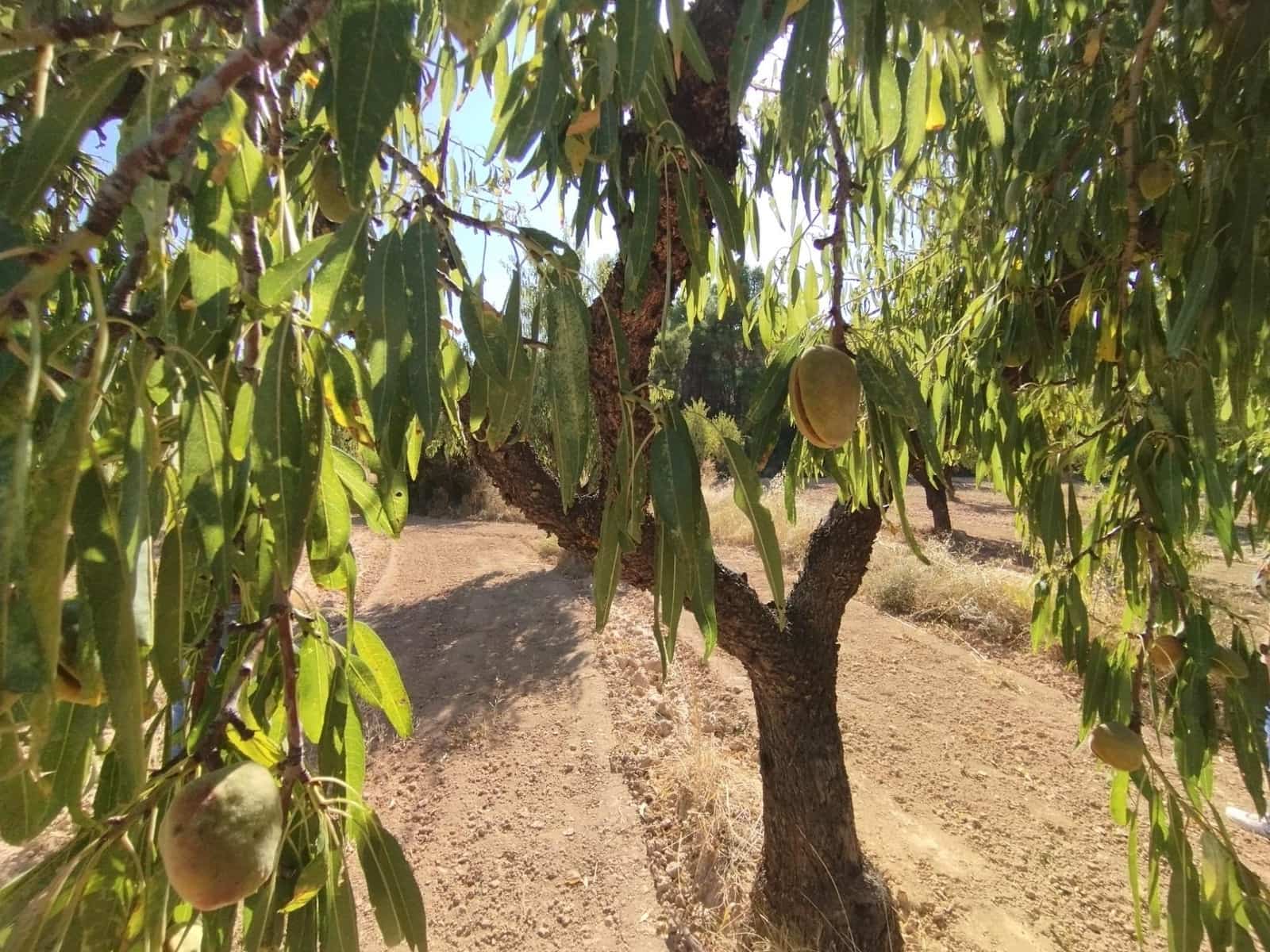 1 slaapkamer Finca/Landhuis te koop in Valderrobres - € 20.000 (Ref: 9226911)