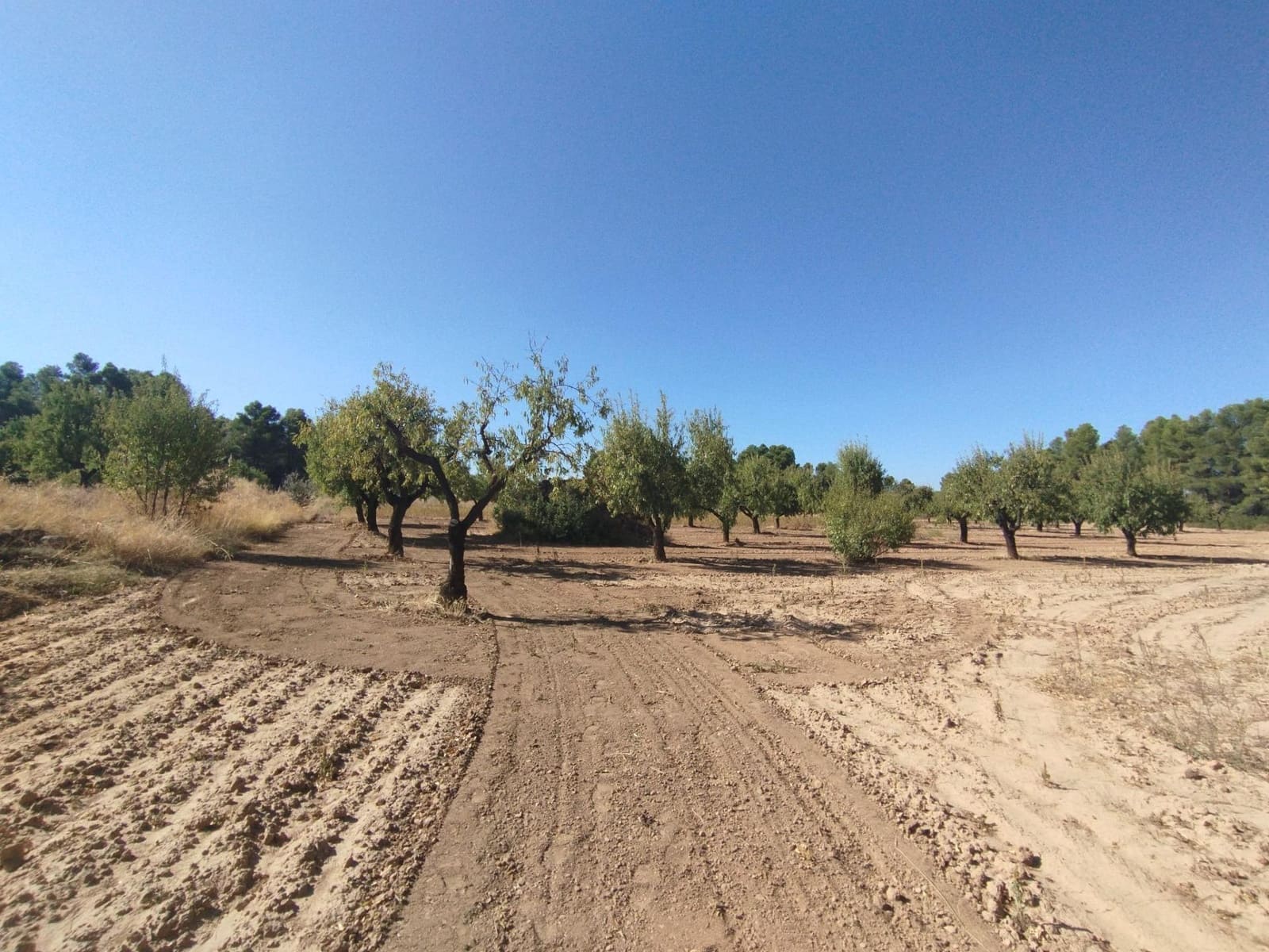 1 slaapkamer Finca/Landhuis te koop in Valderrobres - € 20.000 (Ref: 9226911)