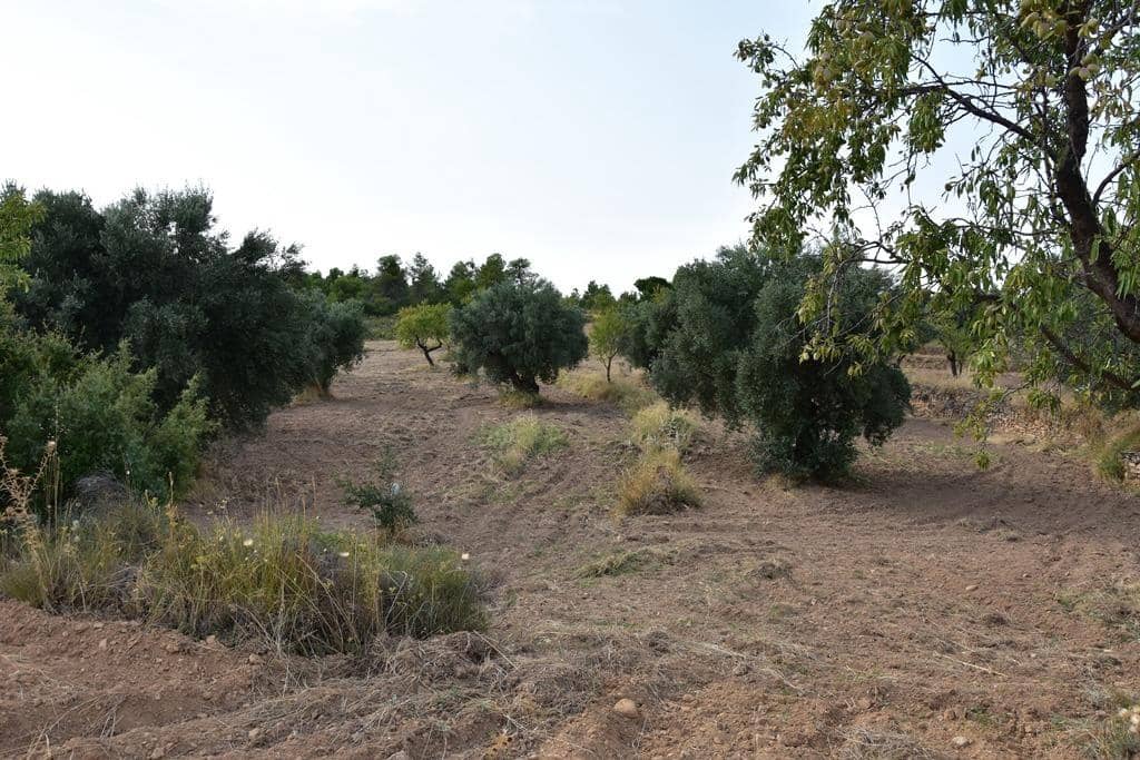 Finca/Casa Rural de 1 habitación en La Fresneda en venta - 14.500 € (Ref: 9240233)