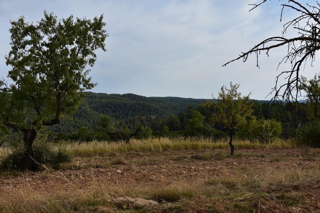 Finca/Casa Rural de 1 habitación en La Fresneda en venta - 14.500 € (Ref: 9240233)