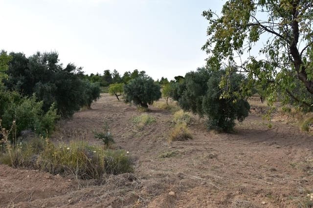 Finca/Casa Rural de 1 habitación en La Fresneda en venta - 14.500 € (Ref: 9240233)