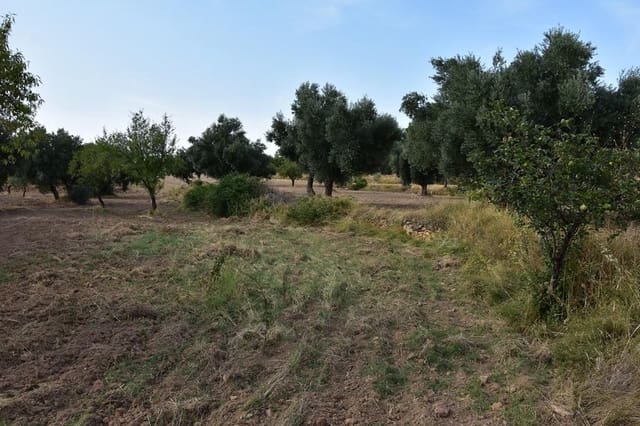 Finca/Casa Rural de 1 habitación en La Fresneda en venta - 14.500 € (Ref: 9240233)