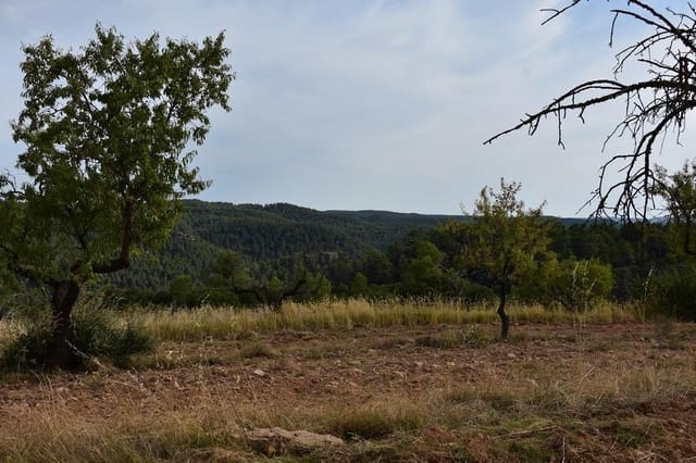 Finca/Casa Rural de 1 habitación en La Fresneda en venta - 14.500 € (Ref: 9240233)