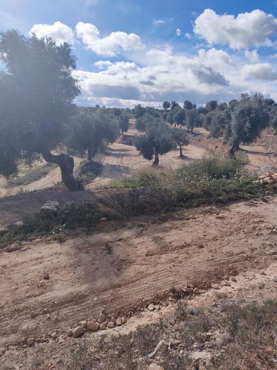 1 sovrum Finca/Hus på landet till salu i Calaceite - 80 000 € (Ref: 9255167)