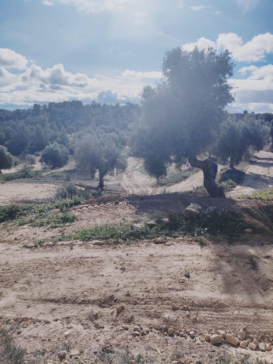 1 sovrum Finca/Hus på landet till salu i Calaceite - 80 000 € (Ref: 9255167)