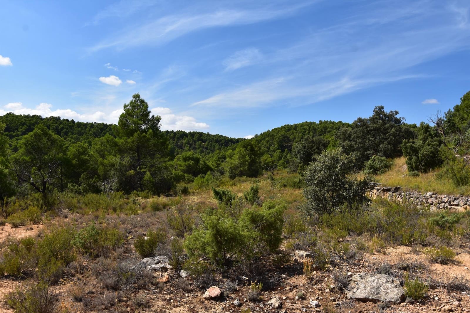 Finca/Landehus til salg i Rafales - € 33.000 (Ref: 9255168)