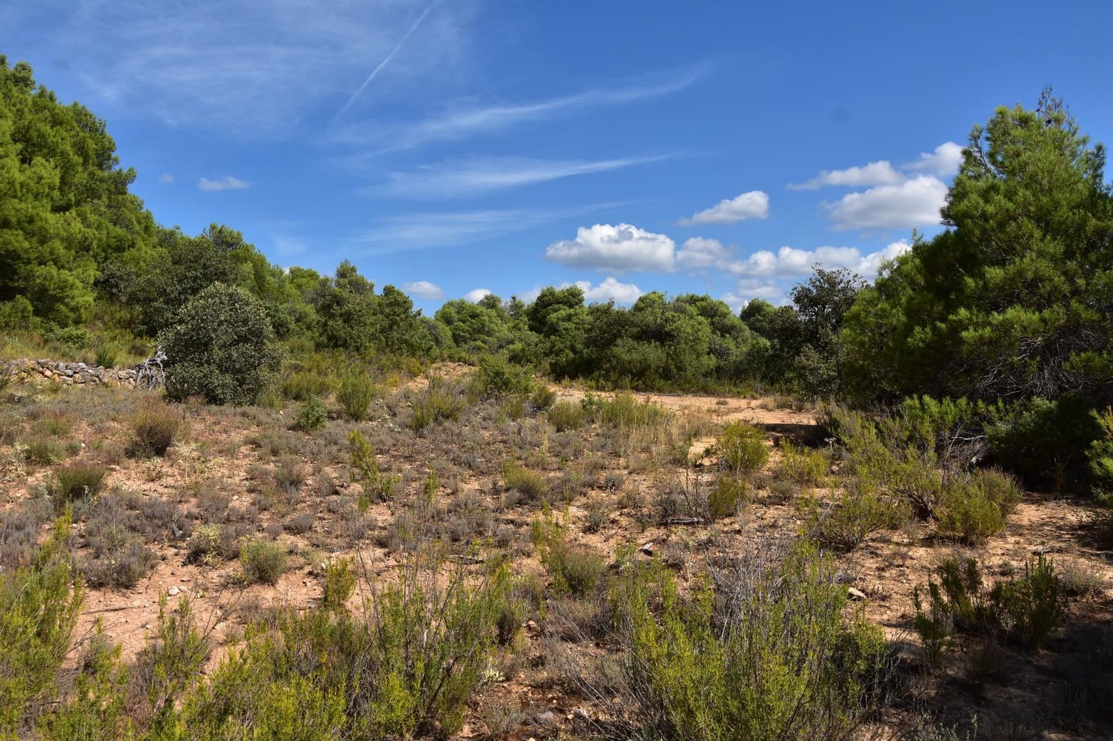 Finca/Landehus til salg i Rafales - € 33.000 (Ref: 9255168)