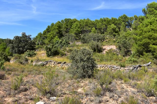 Finca/Casa di Campagna in vendita in Ráfales - 33.000 € (Rif: 9255168)