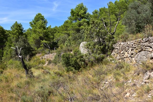 Finca/Casa di Campagna in vendita in Ráfales - 33.000 € (Rif: 9255168)