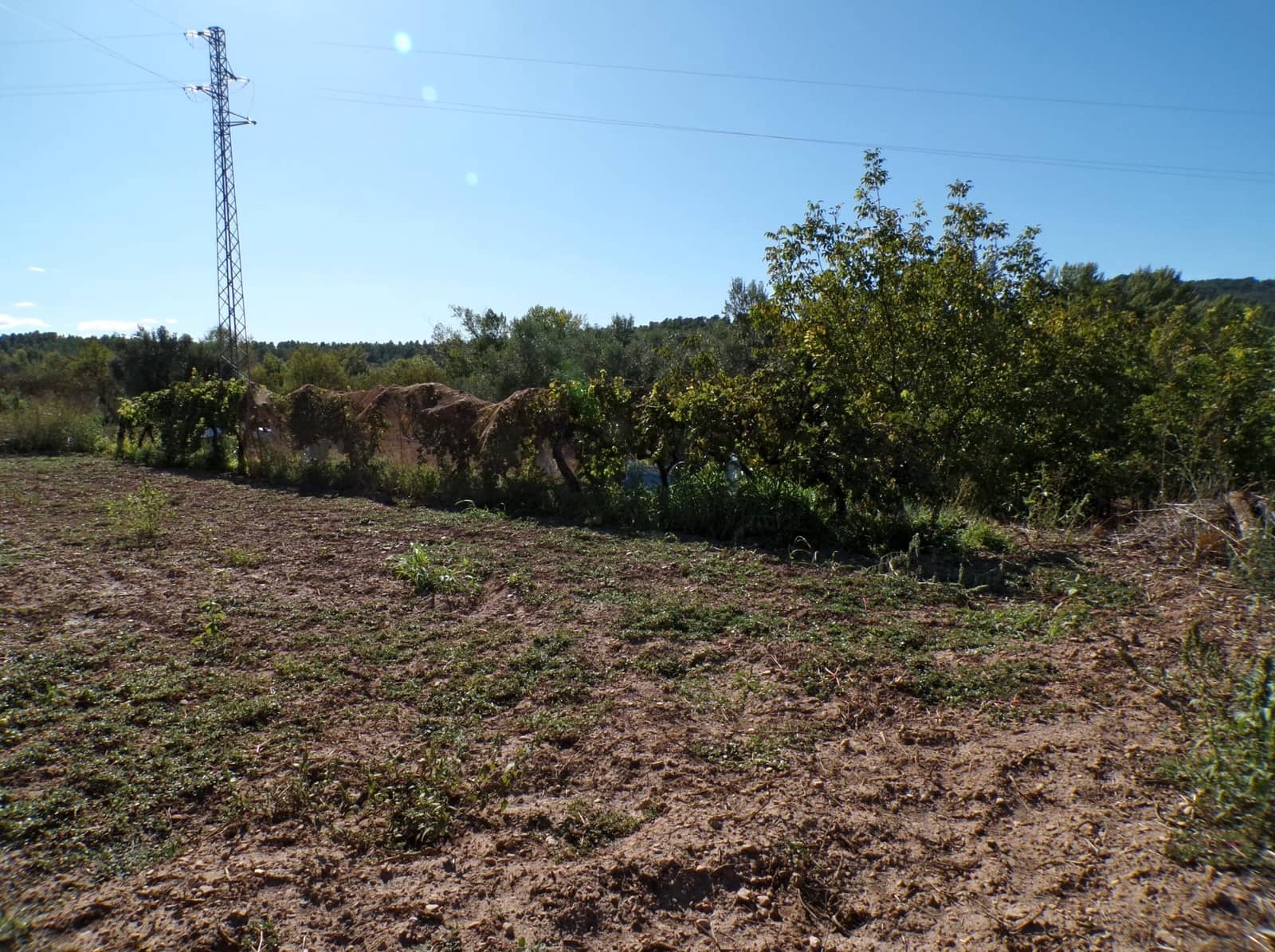 1 quarto Quinta/Casa Rural para venda em Torre del Compte - 29 000 € (Ref: 9257522)