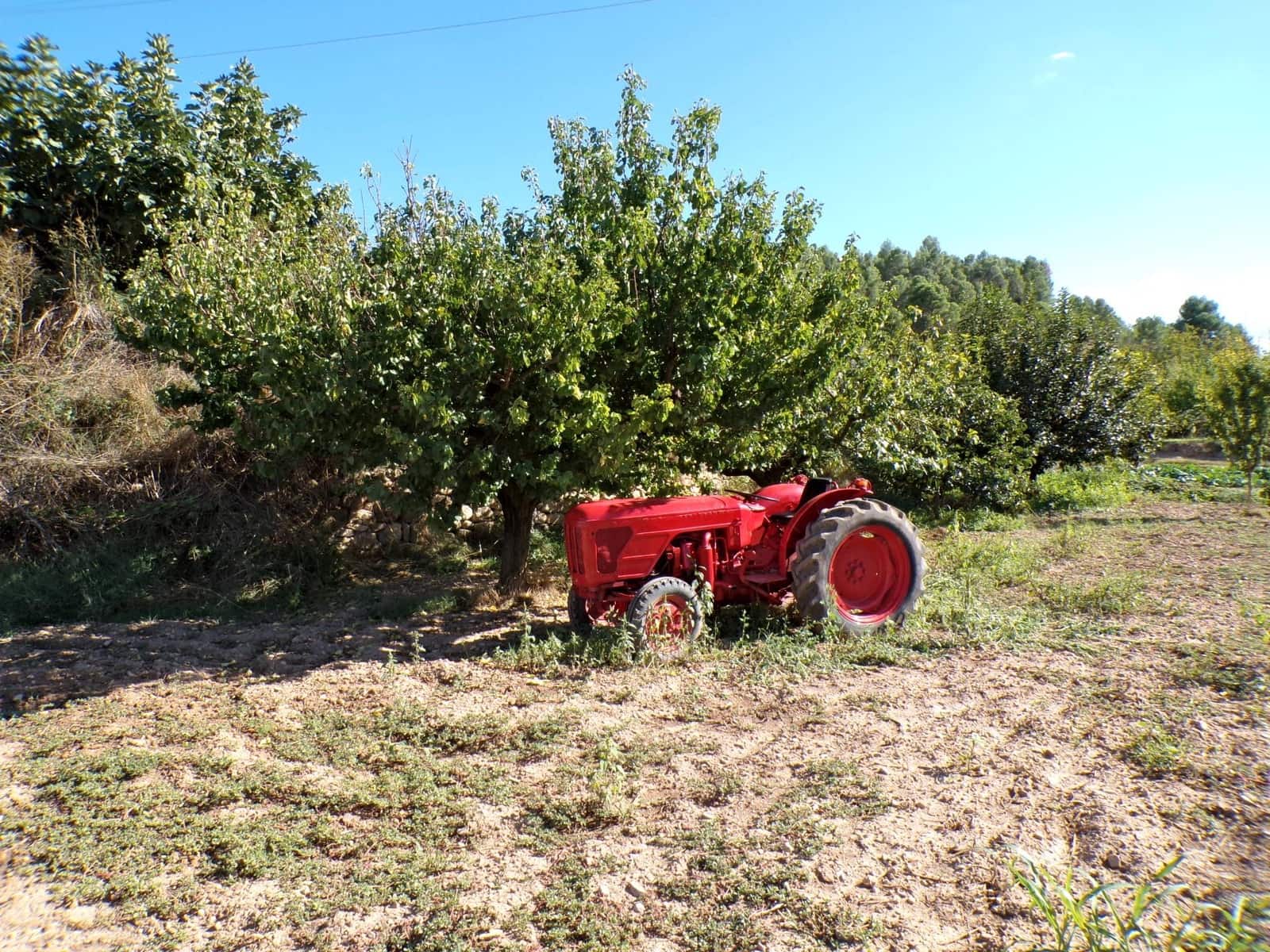 1 quarto Quinta/Casa Rural para venda em Torre del Compte - 29 000 € (Ref: 9257522)