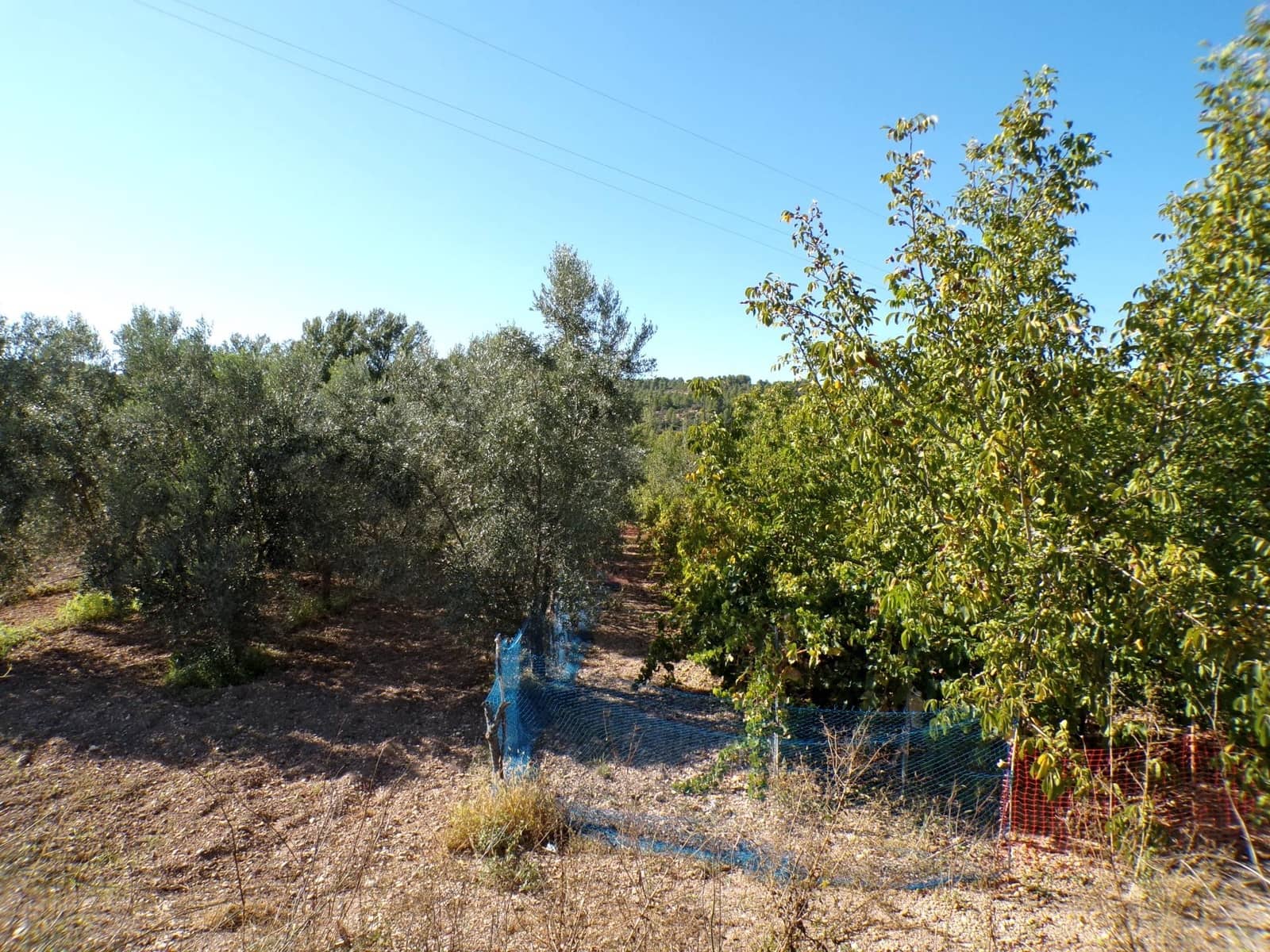 1 quarto Quinta/Casa Rural para venda em Torre del Compte - 29 000 € (Ref: 9257522)