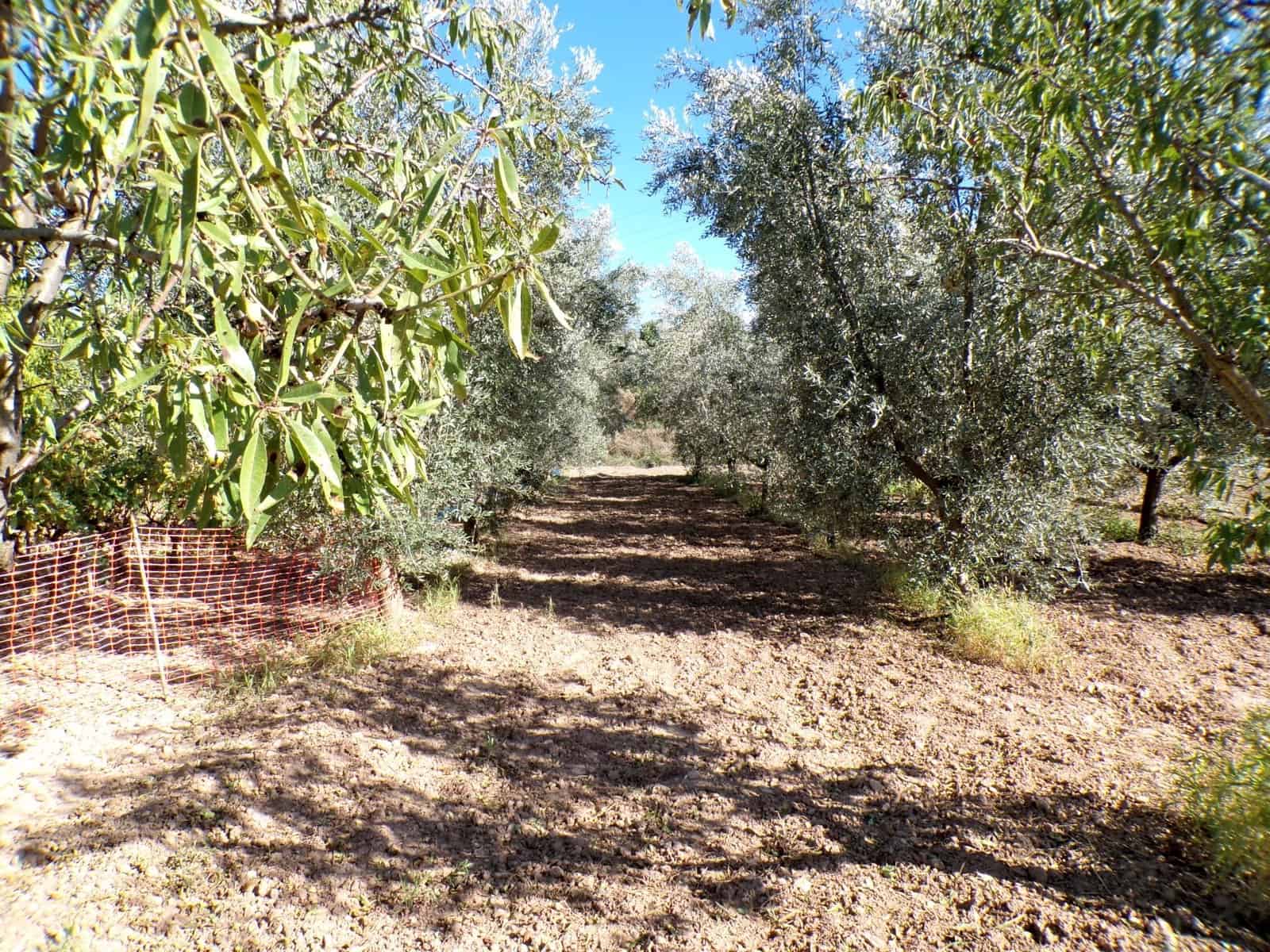 1 quarto Quinta/Casa Rural para venda em Torre del Compte - 29 000 € (Ref: 9257522)