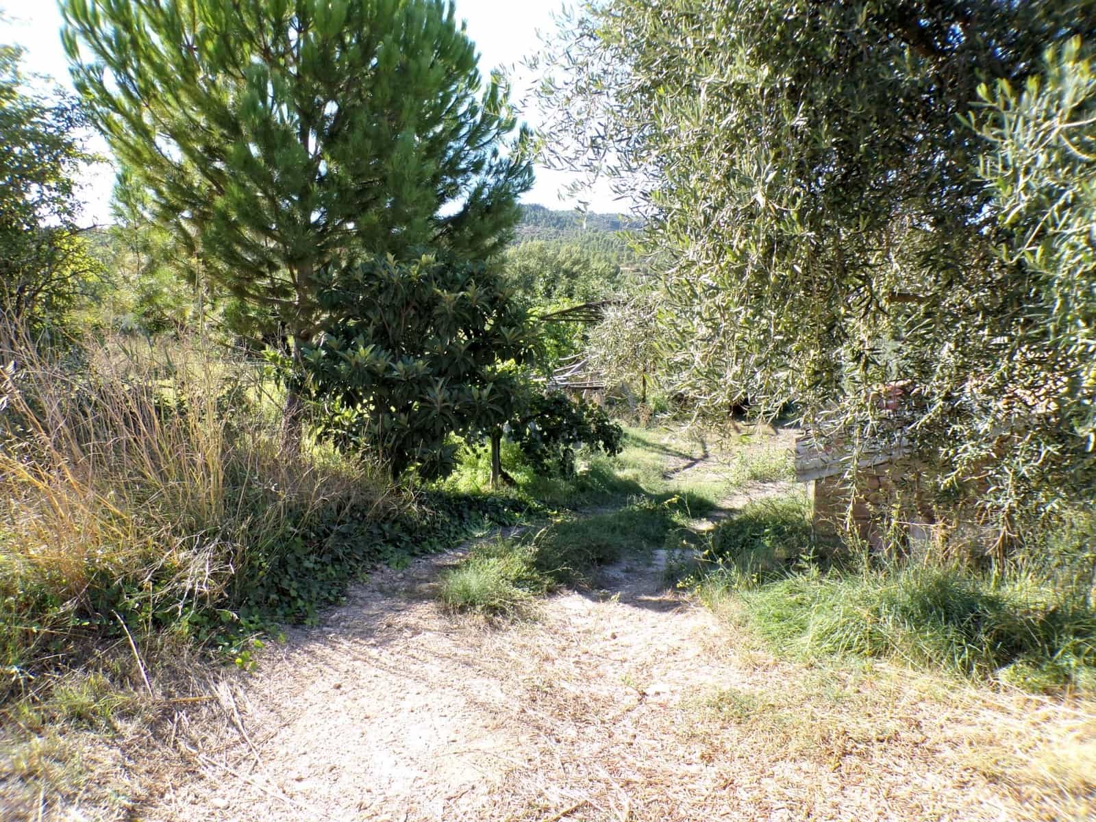 1 quarto Quinta/Casa Rural para venda em Torre del Compte - 29 000 € (Ref: 9257522)