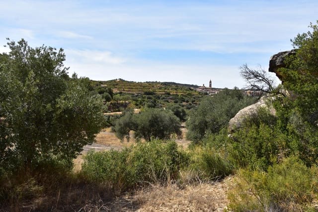 1 slaapkamer Finca/Landhuis te koop in Valdealgorfa - € 20.000 (Ref: 9311078)