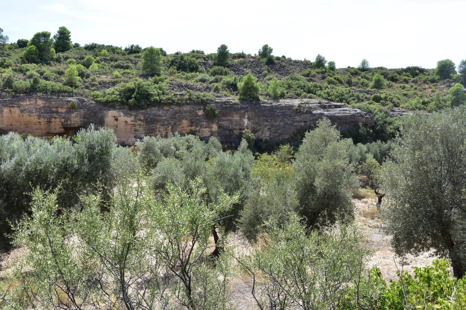 1 soveværelse Finca/Landehus til salg i Valdealgorfa - € 20.000 (Ref: 9311078)