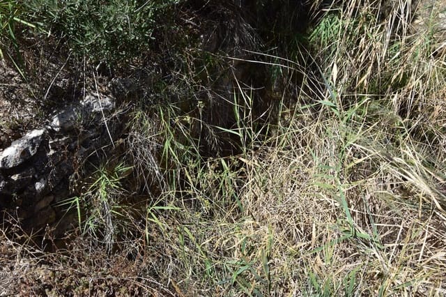 1 slaapkamer Finca/Landhuis te koop in Valdealgorfa - € 20.000 (Ref: 9311078)