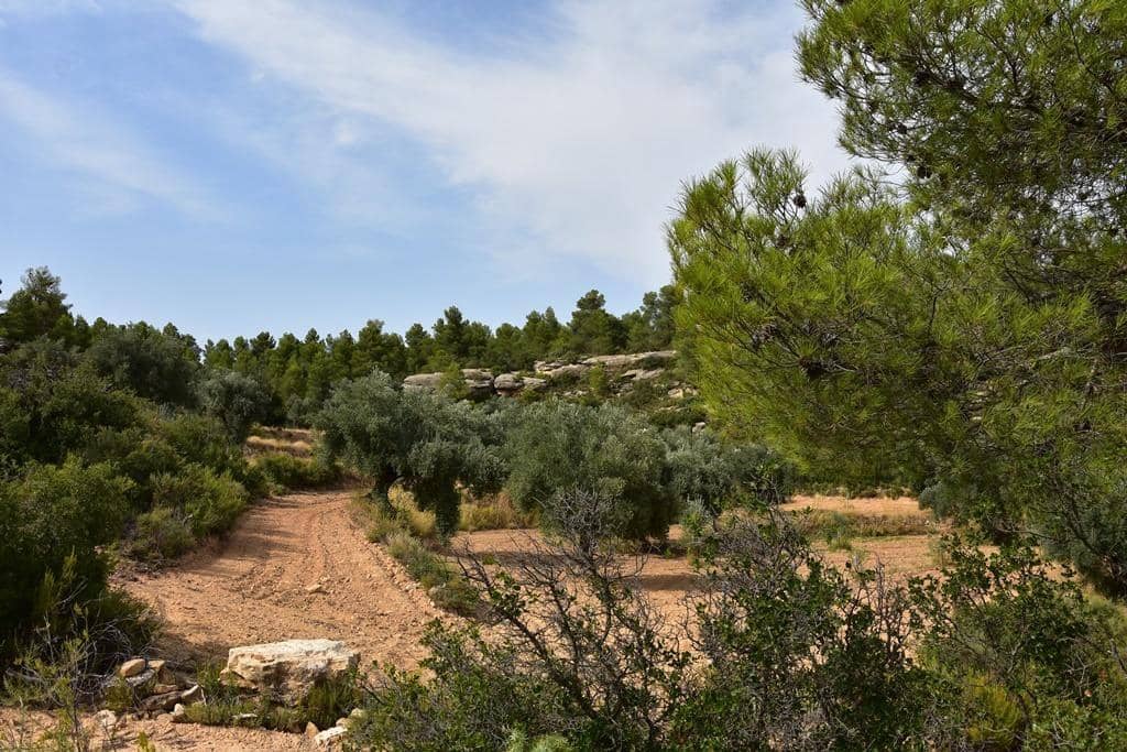 Finca/Herregård til salgs i La Fresneda - € 8 500 (Ref: 9317993)