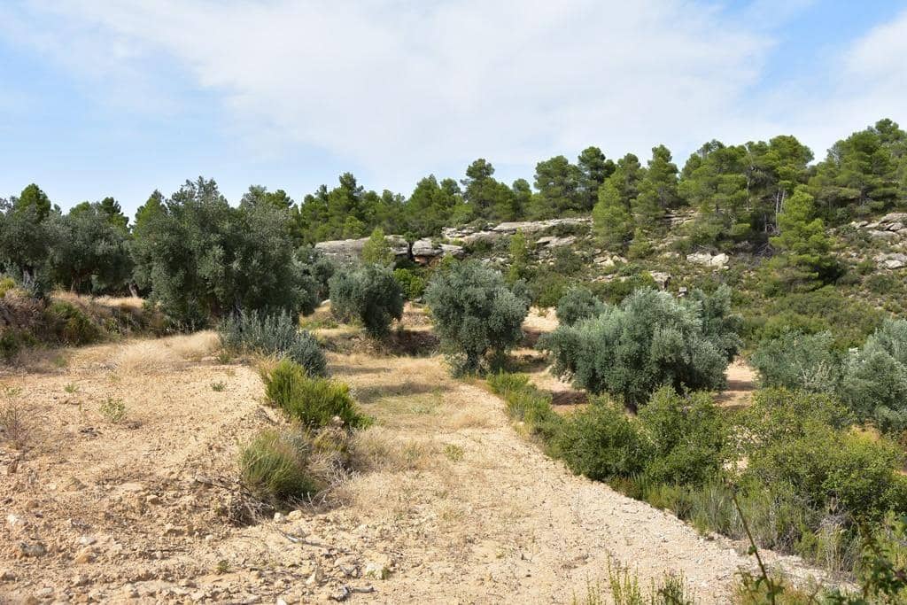 Finca/Herregård til salgs i La Fresneda - € 8 500 (Ref: 9317993)