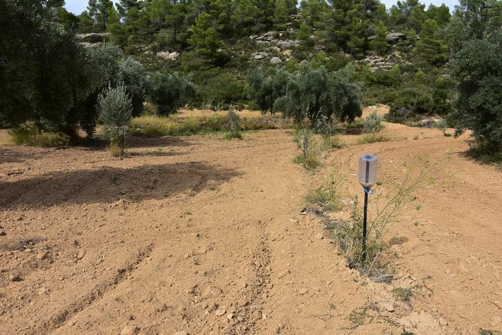 Finca/Herregård til salgs i La Fresneda - € 8 500 (Ref: 9317993)