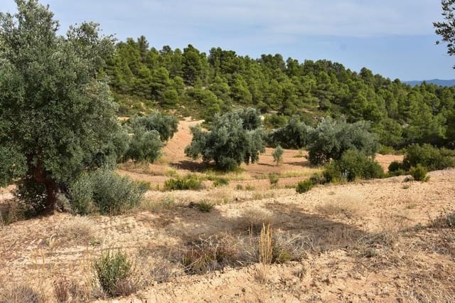 Finca/Casa di Campagna in vendita in La Fresneda - 8.500 € (Rif: 9317993)