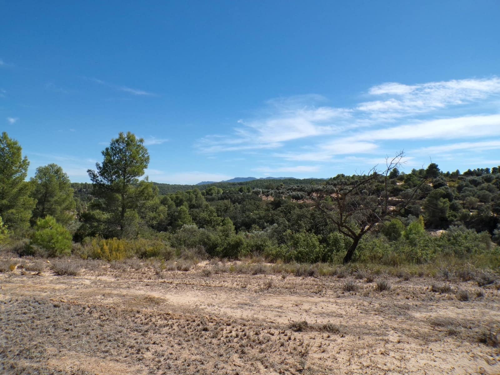 Finca/Landhuis te koop in Calaceite - € 45.000 (Ref: 9322065)