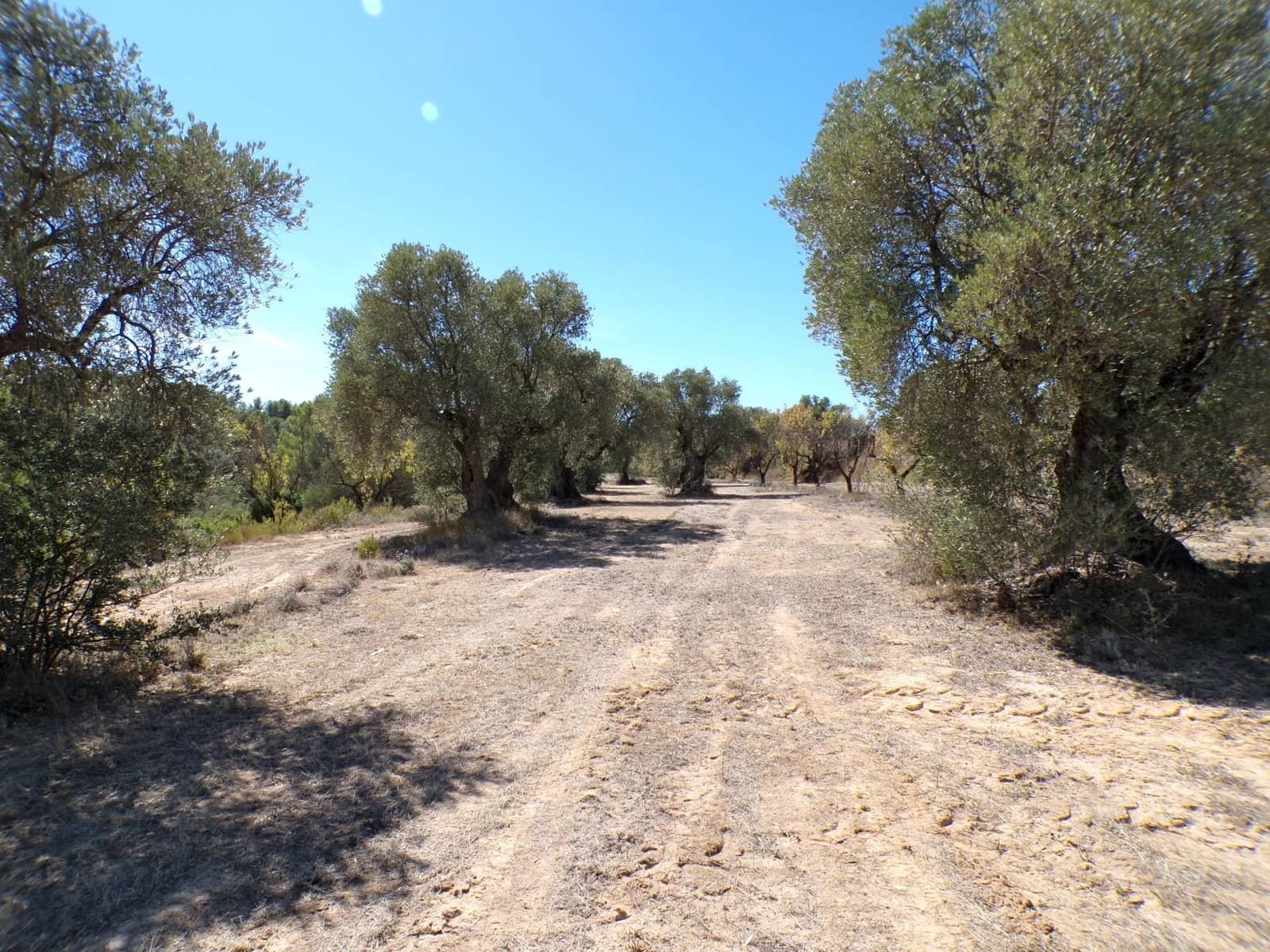 Finca/Landhuis te koop in Calaceite - € 45.000 (Ref: 9322065)