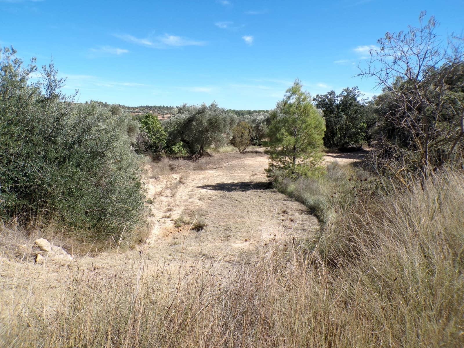 Finca/Landhuis te koop in Calaceite - € 45.000 (Ref: 9322065)