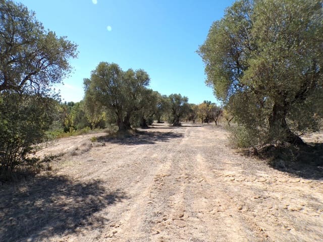 Finca/Landehus til salg i Calaceite - € 45.000 (Ref: 9322065)