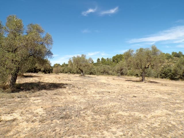 Finca/Landehus til salg i Calaceite - € 45.000 (Ref: 9322065)