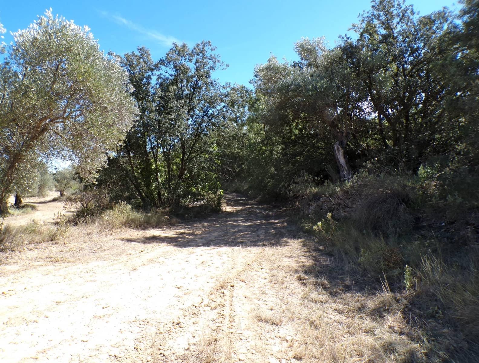 Finca/Landhuis te koop in Calaceite - € 45.000 (Ref: 9322065)