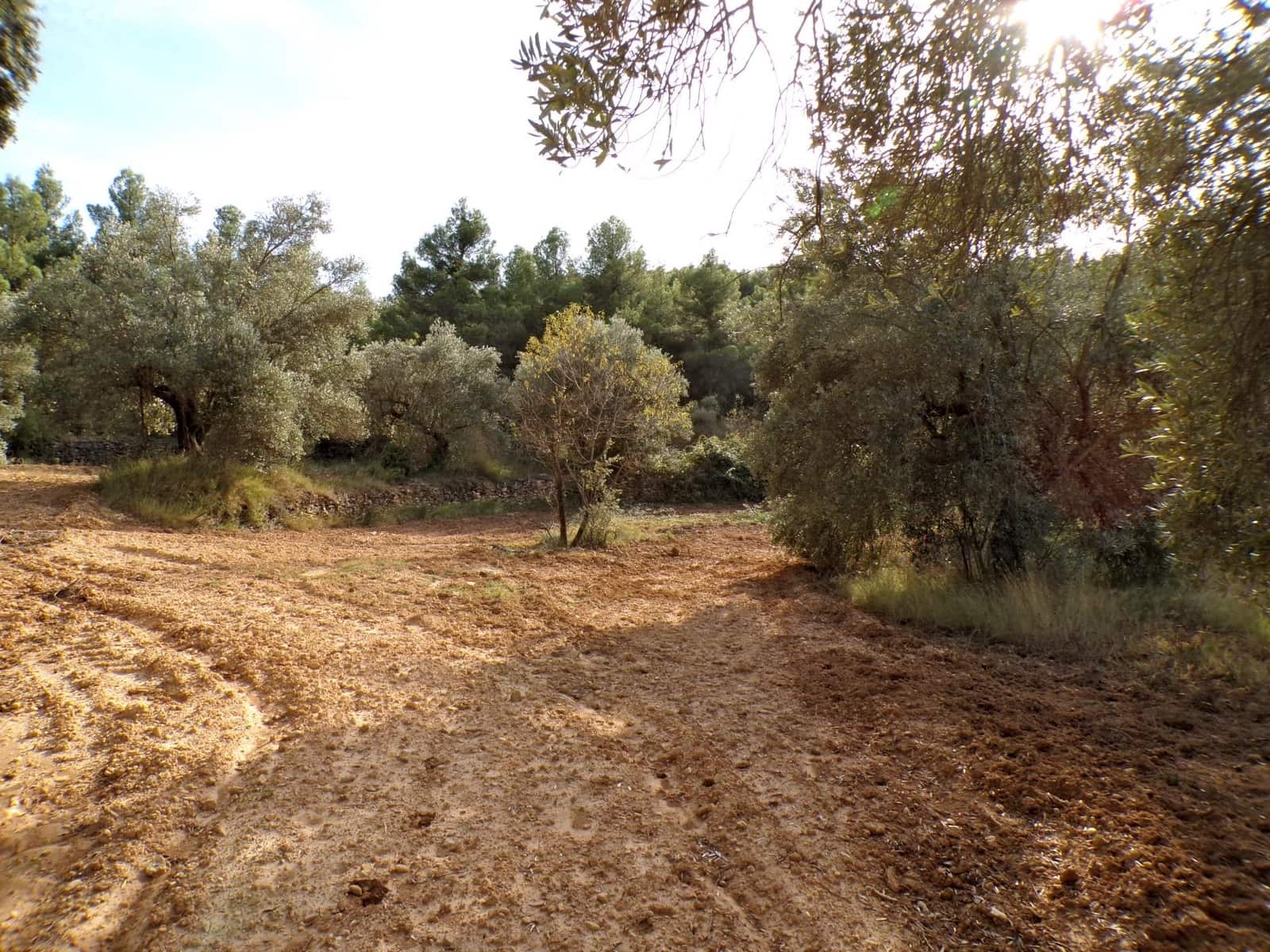 Finca/Country House for sale in La Fresneda - € 7,500 (Ref: 9335187)