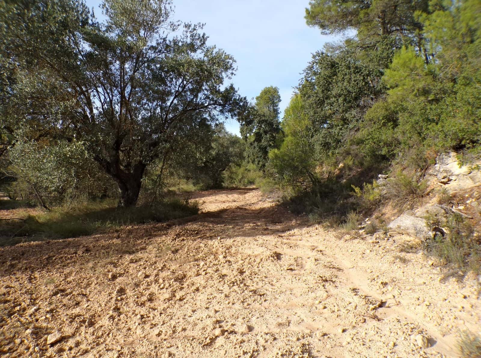 Finca/Country House for sale in La Fresneda - € 7,500 (Ref: 9335187)